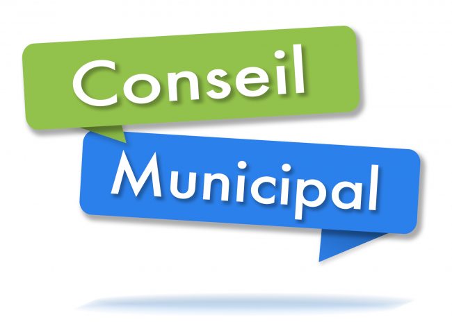 Conseil Municipal - Des outils de lutte - Ville de Stains
