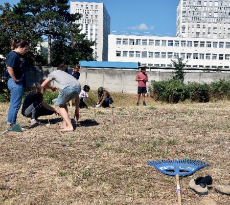 Jardin aromatique - Ville de Stains