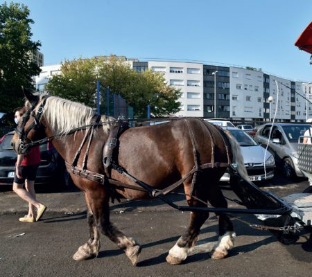 Un projet déjà au trot - Ville de Stains