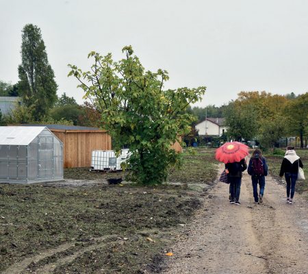 Jardins familiaux - L’heure de la fin des travaux sonne - Ville de Stains