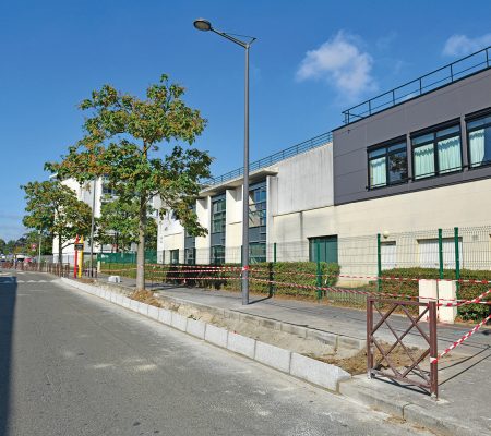 Plaine Commune - Travaux de plantation devant les écoles - Ville de Stains