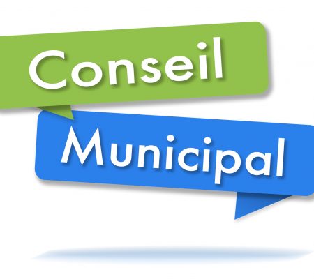 Conseil Municipal - Des outils de lutte - Ville de Stains